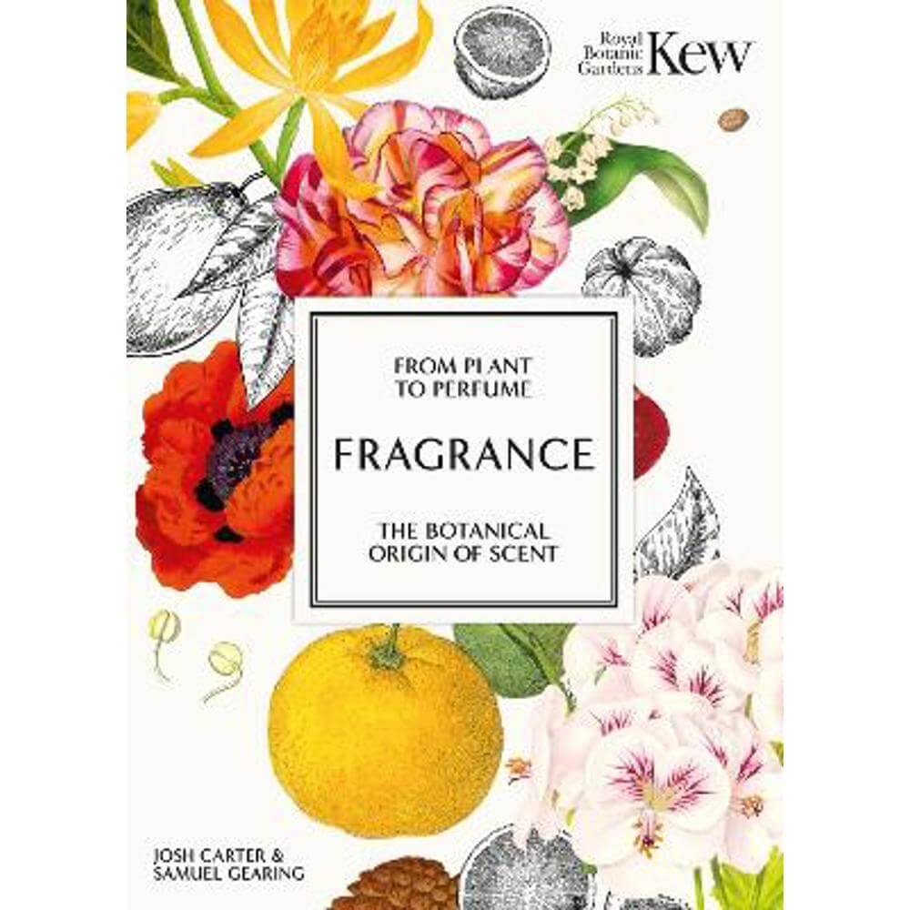 Kew - Fragrance: From plant to perfume, the botanical origins of scent (Hardback) - Josh Carter